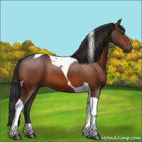 Horse Color:Brown Tobiano 