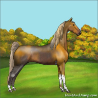 Horse Color:Silver Black Tobiano 