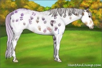 Horse Color:White Spotted Silver Smoky Black Splash Rabicano