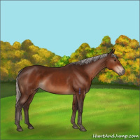 Horse Color:Silver Brown 