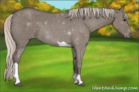 Horse Color:Silver Grullo Tobiano Varnish