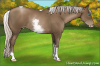 Horse Color:Gray White Spotted Silver Smoky Black Pearl Tobiano