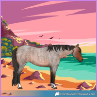 Horse Color:Bay Roan 