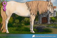 Horse Color:Buckskin Pearl 