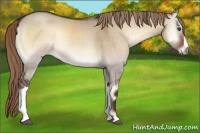 Horse Color:Liver Red Dun Onyx 