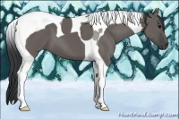 Horse Color:Grullo Tobiano