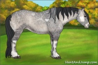 Horse Color:Blue Onyx Ice