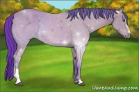 Horse Color:Watercolor Buckskin Sabino 