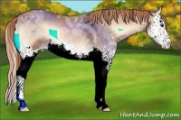 Horse Color:Red Onyx Ice Splash Varnish 