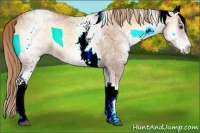 Horse Color:White Spotted Red Onyx Ice 