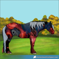 Horse Color:ERROR: UNKNOWN ANOMALY