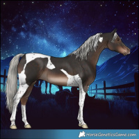 Horse Color:Liver Chestnut Mushroom Tobiano 