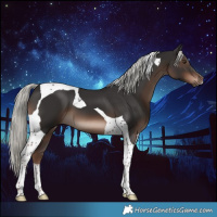 Horse Color:Liver Chestnut Mushroom Tobiano 