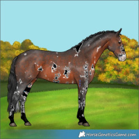 Horse Color:White Spotted Brown Mushroom Sabino 