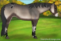 Horse Color:Void Blue Onyx Tobiano Blanket Rabicano 