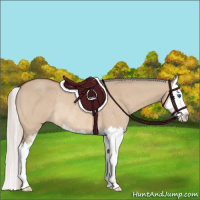Horse Color:Silver Bay Dun Sabino Splash Rabicano 