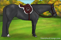 Horse Color:Black Sabino 