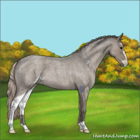 Horse Color:Silver Blue Roan Sabino