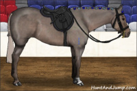 Horse Color:Silver Blue Roan 