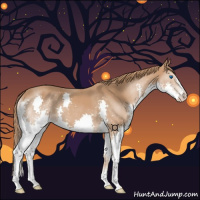 Horse Color:Chestnut Splash 