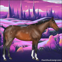 Horse Color:Bay Tobiano 