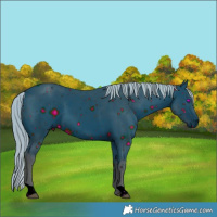 Horse Color:ERROR: UNKNOWN ANOMALY