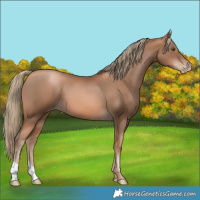 Horse Color:Liver Chestnut Pearl 