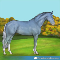 Horse Color:Watercolor White Spotted Silver Smoky Creme Mushroom Rabicano 