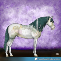 Horse Color:Watercolor Brown Ice Onyx Tobiano 