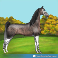 Horse Color:Platinum Brown Splash 