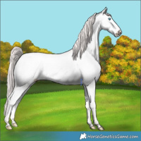 Horse Color:Platinum Smoky Creme Dun 