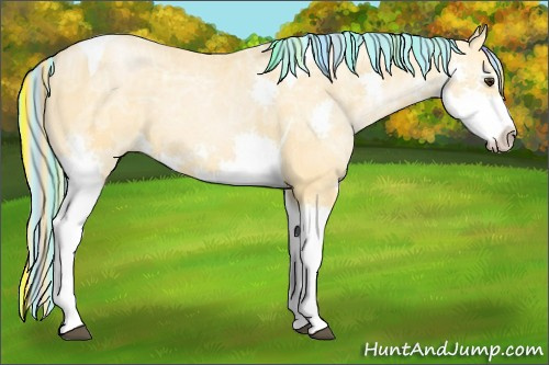 Horse Color:Painted Chestnut Ice Splash Tobiano Rabicano 