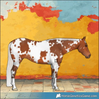 Horse Color:White Spotted Silver Bay 