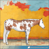Horse Color:White Spotted Silver Bay Splash Varnish 