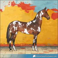 Horse Color:White Spotted Bay 