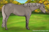 Horse Color:Silver Black 