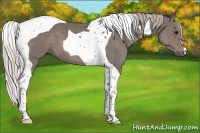 Horse Color:Silver Black Tobiano