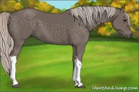Horse Color:Silver Black 