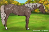Horse Color:Silver Black 