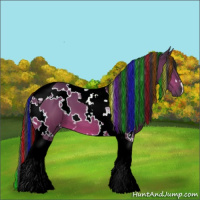 Horse Color:Painted White Spotted Bay Tobiano 