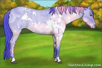 Horse Color:Watercolor White Spotted Liver Red Ice Roan Appaloosa 