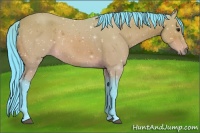 Horse Color:Watercolor Bay 