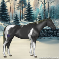 Horse Color:Painted Black Tobiano 