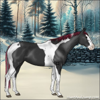 Horse Color:Painted Black Splash Tobiano