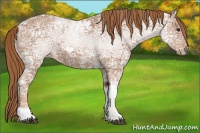 Horse Color:Chestnut Ice Tobiano 