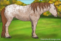 Horse Color:Chestnut Ice 