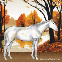 Horse Color:Red Dun Splash Tobiano 