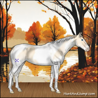 Horse Color:Gold Champagne Dun Splash Tobiano 