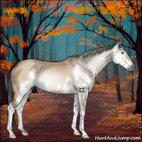 Horse Color:Gray Bay Dun Splash