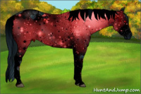 Horse Color:ERROR: UNKNOWN ANOMALY